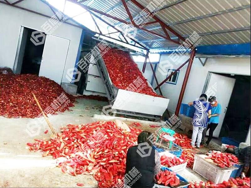 萬源辣椒烘干機